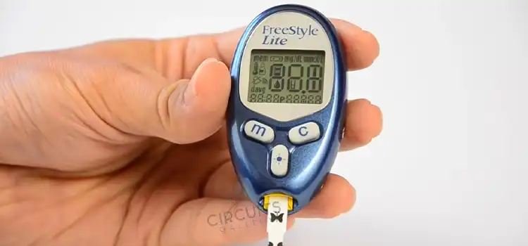How to Reset FreeStyle Lite Meter | A Step-by-Step Guide