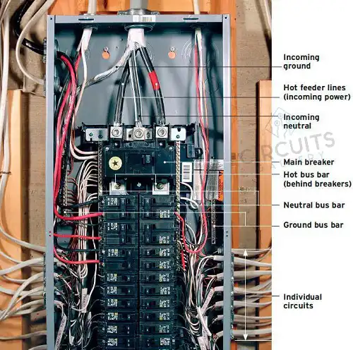 Neutral Wire Usage Guidelines