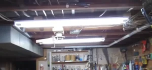 How Many T8 Lights on a 20 Amp Circuit