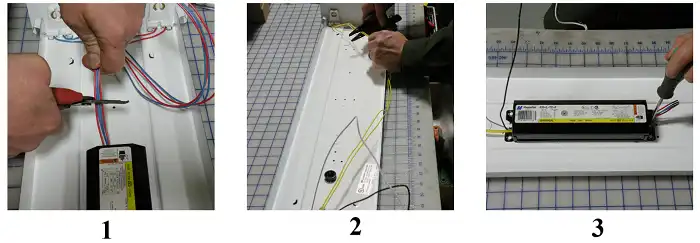 Philips Direct Wire T8 LEDs